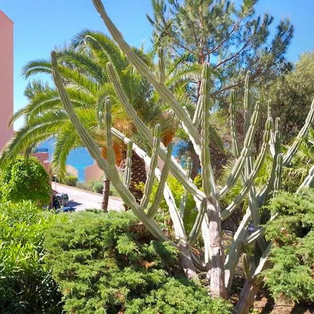 Sea & Garden View 10 Min To Beaches Apartmán Ajaccio (Corsica)